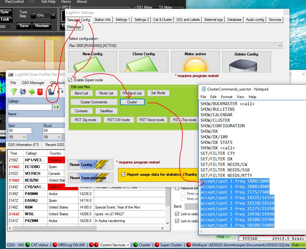 Capture5.JPG